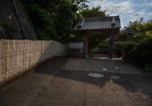 SBJ06299