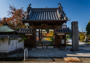 DSC01373