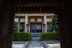 DSC08137