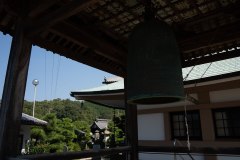 DSC08156