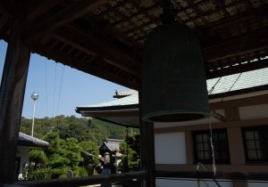 DSC08156