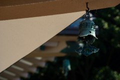 DSC08157