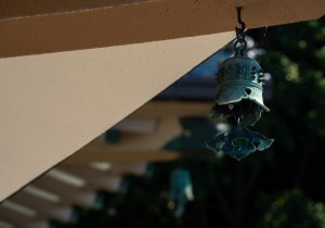 DSC08157