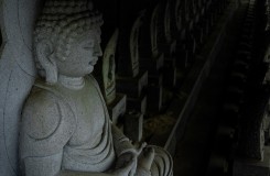DSC09101