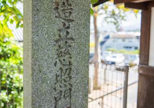 SBJ06264