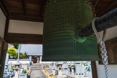 DSC03491