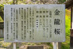 DSC03496