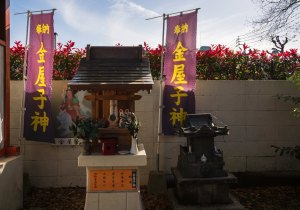 SBJ08016