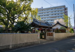 SBJ08021