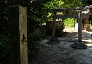 DSC05310
