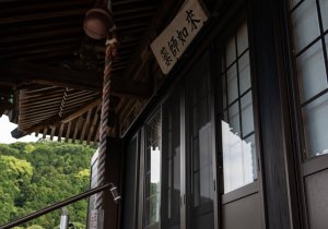 DSC05471
