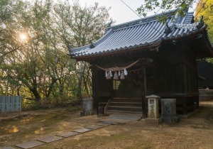 SBJ06746