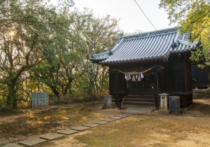 SBJ06752