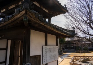 SBJ01810