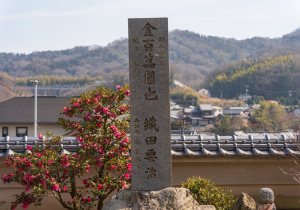 SBJ01815