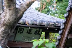 DSC09485