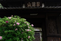 DSC09361