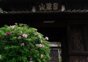 SBJ9361