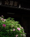 DSC09366