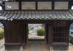 SBJ05125