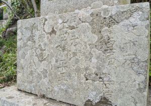 SBJ05129