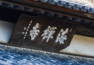 SBJ06377