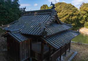 DSC08604