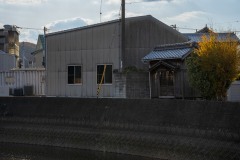 DSC05452