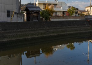 DSC05455
