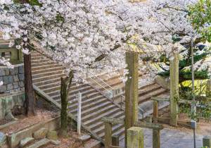 DSC03632-Enhanced-RD