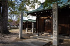 1_DSC04320