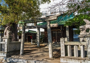 DSC01184