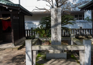 DSC01208