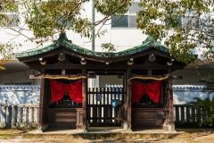 DSC01245