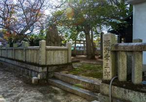 DSC01249