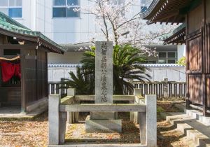SBJ07093