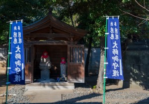 SBJ07557