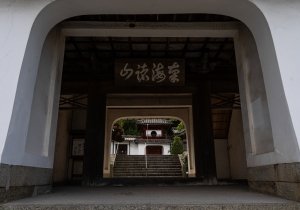 DSC05491