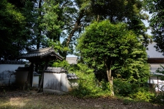 DSC05501