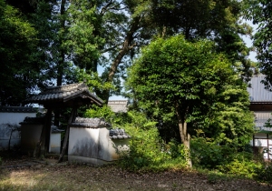 DSC05501