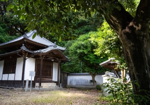 DSC05502