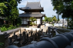 DSC05503