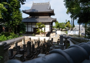 DSC05503