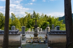 DSC05505