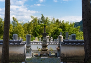 DSC05505