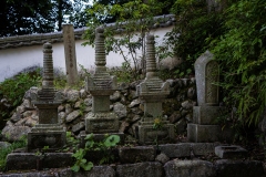 DSC05506