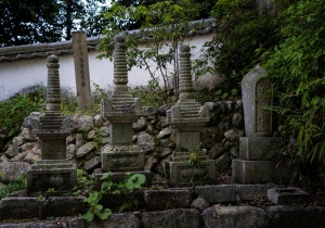DSC05506