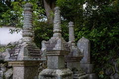 DSC05512