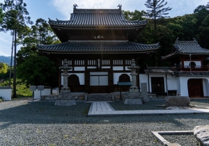 DSC05515
