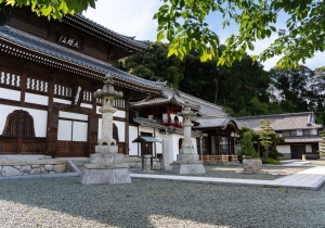 DSC05517